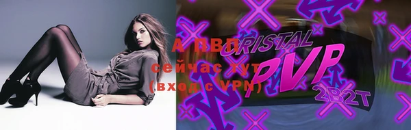 дмт Абаза