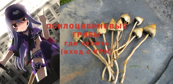 дмт Абаза