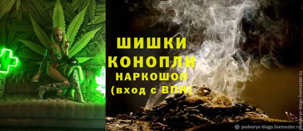 дмт Абаза