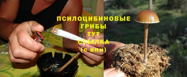 дмт Абаза