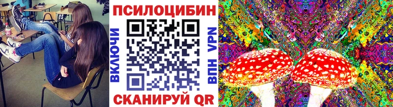 Галлюциногенные грибы прущие грибы  Ялта 