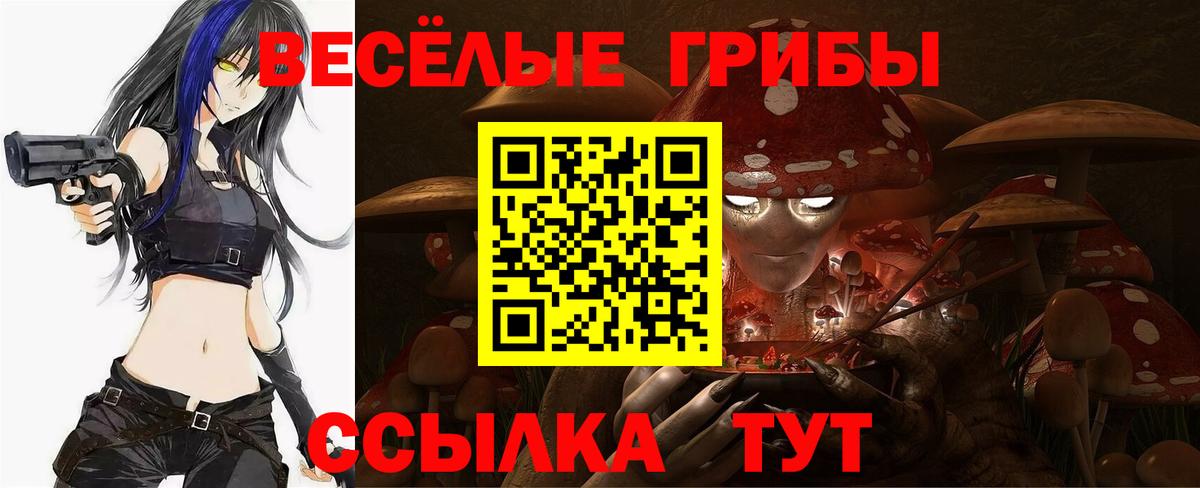 Псилоцибиновые грибы мухоморы Ялта